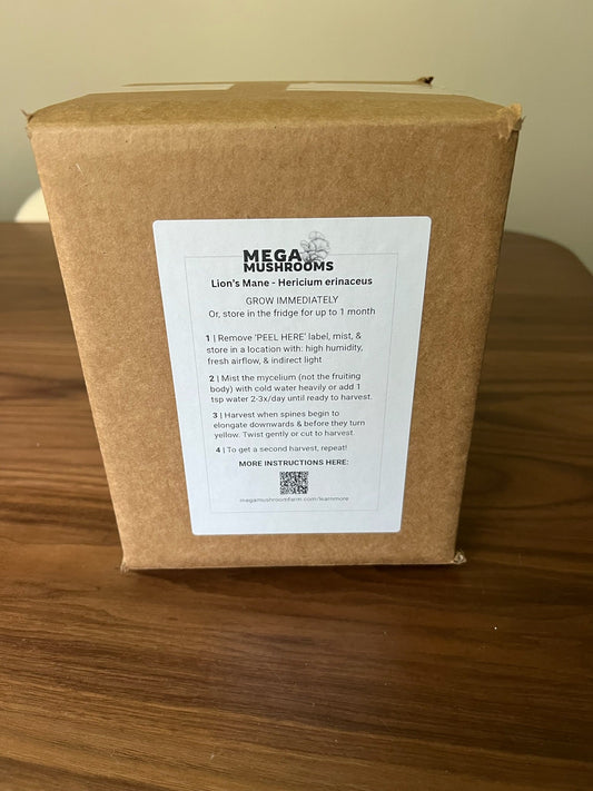 Why Growing Mushrooms at Home Is Easier Than You Think